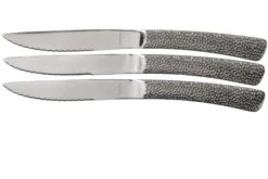 Amefa Bongo 246523BC13SK Juego De Cuchillos Para Carne De 3 Piezas