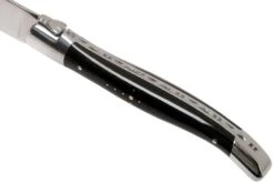 Laguiole En Aubrac Juego De Cuchillos Para Carne 6-unidades De Cuerno De Búfalo -CocinaPro Ventas AU62C99BUIH 06 laguiole en aubrac v202111
