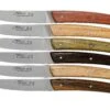 Claude Dozorme Le Thiers Juego De Cuchillos Para Carne 6-piezas, Diferentes Tipos De Madera 1 Claude Dozorme Le Thiers Juego De Cuchillos Para Carne 6-piezas, Diferentes Tipos De Madera -CocinaPro Ventas CD2 90 001 16 01 claude dozorme