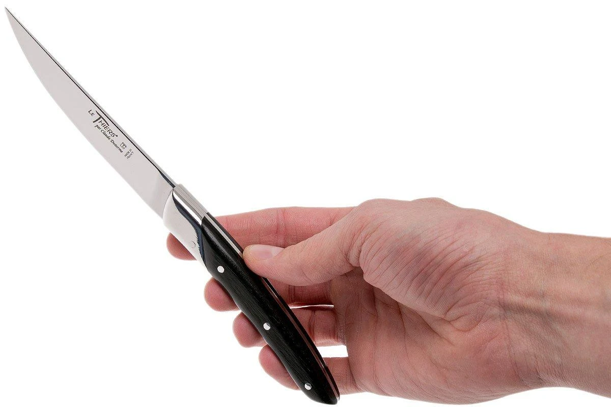 Claude Dozorme Le Thiers Juego De Cuchillos Para Carne 6-unidades, Madera De ébano 10 Claude Dozorme Le Thiers Juego De Cuchillos Para Carne 6-unidades, Madera De ébano - Imagen 8