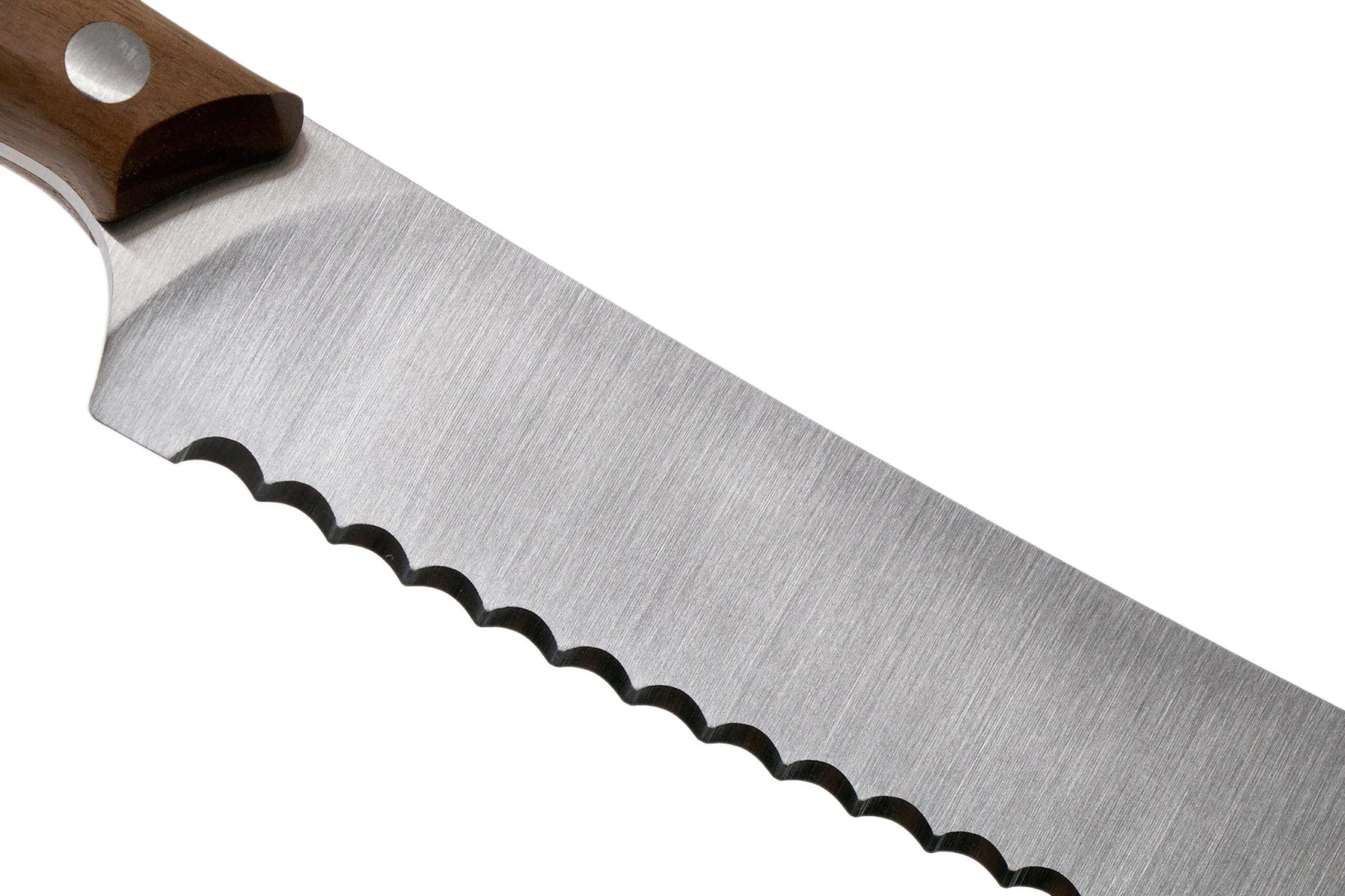 Due Cigni 1896, 2C1011NO Cuchillo De Pan 20 Cm, Madera De Nogal 6 Due Cigni 1896, 2C1011NO Cuchillo De Pan 20 Cm, Madera De Nogal - Imagen 4