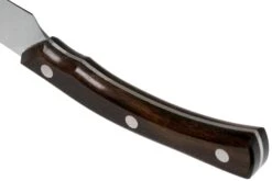 Due Cigni Arne Line Cuchillo Para Carne 11 Cm, Ziricote 11 Due Cigni Arne Line Cuchillo Para Carne 11 Cm, Ziricote -CocinaPro Ventas DG2C900ZW 04 due cigni arne