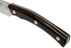 Due Cigni Arne Line Cuchillo Para Carne 11 Cm, Ziricote 12 Due Cigni Arne Line Cuchillo Para Carne 11 Cm, Ziricote -CocinaPro Ventas DG2C900ZW 05 due cigni arne