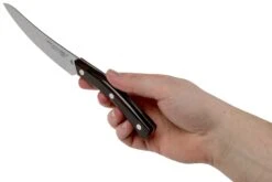 Due Cigni Arne Line Cuchillo Para Carne 11 Cm, Ziricote 13 Due Cigni Arne Line Cuchillo Para Carne 11 Cm, Ziricote -CocinaPro Ventas DG2C900ZW 06 due cigni arne