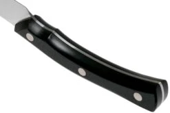 Due Cigni Arne Line Cuchillo Para Pelar 10 Cm, Negro 11 Due Cigni Arne Line Cuchillo Para Pelar 10 Cm, Negro -CocinaPro Ventas DG2C901 04 due cigni arne