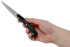 Due Cigni Arne Line Cuchillo Para Pelar 10 Cm, Negro 13 Due Cigni Arne Line Cuchillo Para Pelar 10 Cm, Negro -CocinaPro Ventas DG2C901 06 due cigni arne