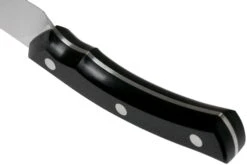 Due Cigni Arne Line Cuchillo Universal 15 Cm, Negro 11 Due Cigni Arne Line Cuchillo Universal 15 Cm, Negro -CocinaPro Ventas DG2C902 04 due cigni arne