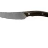 Due Cigni Arne Line Cuchillo Dentado Para Carne 11 Cm, Zircote