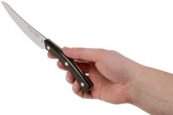 Due Cigni Arne Line Cuchillo Dentado Para Carne 11 Cm, Zircote -CocinaPro Ventas DG2C907ZW 06 due cigni arne