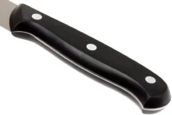 Eden Essentials Cuchillo De Trinchar 20,5 Cm, 2000-120 -CocinaPro Ventas EQ2000 120 04 eden essentials eq2000 120 04