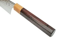 Eden Takara Gyuto 2060-024 Acero Aogami, 24 Cm 11 Eden Takara Gyuto 2060-024 Acero Aogami, 24 Cm -CocinaPro Ventas EQ2060 024 05 edentakara