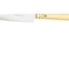 Nontron Traditional Range, 10 Cm TOF10RBU, Cuchillo Puntilla -CocinaPro Ventas NNTOF10RBU 01 nontron