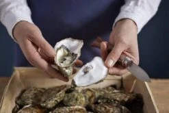 Opinel Cuchillo De Ostras N°09 15 Opinel Cuchillo De Ostras N°09 -CocinaPro Ventas OP001616 07 opinel oestermes op001616 08