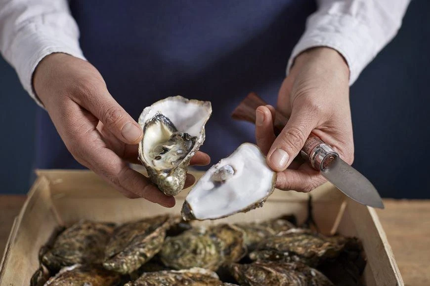 Opinel Cuchillo De Ostras N°09 8 Opinel Cuchillo De Ostras N°09 - Imagen 6