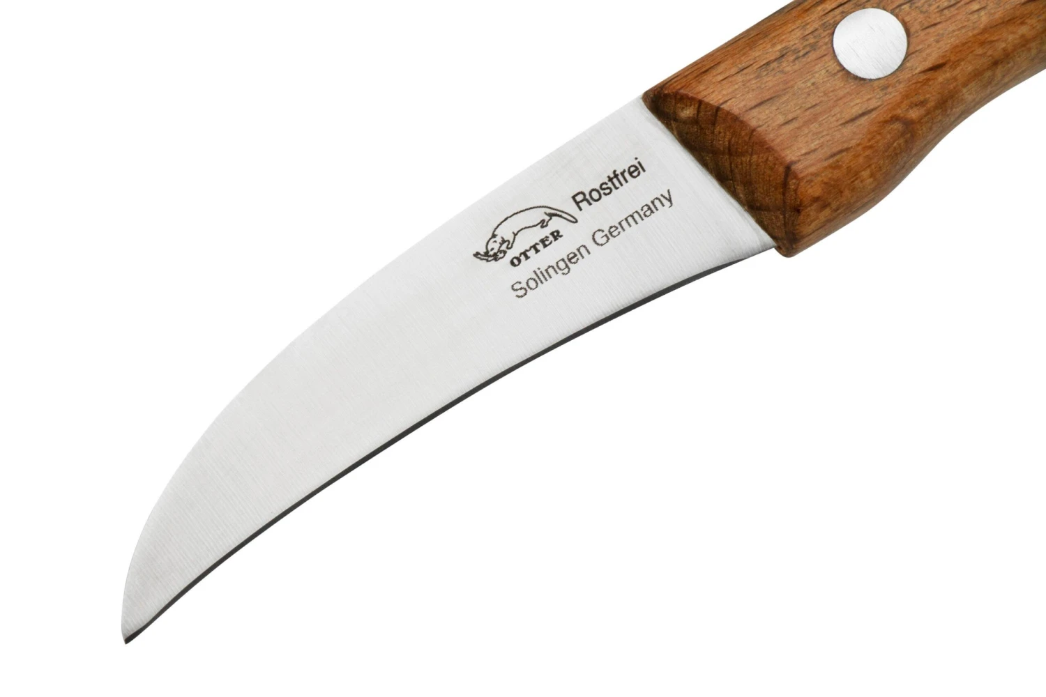 Otter Paring Knife 1011 Curved Stainless Beech, Pelador 5 Otter Paring Knife 1011 Curved Stainless Beech, Pelador - Imagen 3