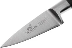 Lion Sabatier Idéal Cuchillo Puntilla 15 Cm, 710980 10 Lion Sabatier Idéal Cuchillo Puntilla 15 Cm, 710980 -CocinaPro Ventas SA710980 03 lion sabatier ideal inox sa710980 03