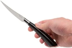 Saladini 6-delige Juego De Cuchillos Para Carne 23 Cm, Cuerno De Búfalo -CocinaPro Ventas SL4001PB6 07 saladini sl4001pb6 07