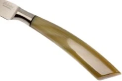 Saladini 6-delige Juego De Cuchillos Para Carne 23 Cm, Cuerno De Buey -CocinaPro Ventas SL4001PC6 05 saladini sl4001pc6 05