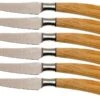 Saladini 6-delige Juego De Cuchillos Para Carne 23 Cm, Madera De Olivo -CocinaPro Ventas SL4001PO6 01 saladini sl4001po6 01