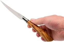 Saladini 6-delige Juego De Cuchillos Para Carne 23 Cm, Set Regalo 17 Saladini 6-delige Juego De Cuchillos Para Carne 23 Cm, Set Regalo -CocinaPro Ventas SL4001VL6 08 saladini sl4001vl6 08