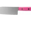 Sakai Takayuki Kids 07401 Cuchillo De Chef Para Niños Rosa 12 Cm 1 Sakai Takayuki Kids 07401 Cuchillo De Chef Para Niños Rosa 12 Cm -CocinaPro Ventas TA07401 01 sakai takayuki