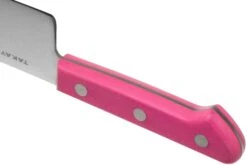 Sakai Takayuki Kids 07401 Cuchillo De Chef Para Niños Rosa 12 Cm 10 Sakai Takayuki Kids 07401 Cuchillo De Chef Para Niños Rosa 12 Cm -CocinaPro Ventas TA07401 04 sakai takayuki