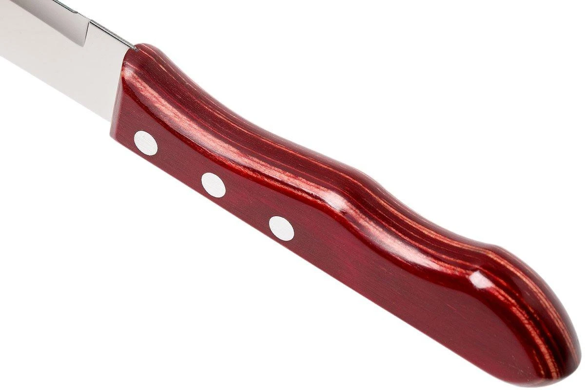 Tramontina Churrasco 6-unidades Juego De Cuchillos Para Carne Jumbo, 29899-164 6 Tramontina Churrasco 6-unidades Juego De Cuchillos Para Carne Jumbo, 29899-164 - Imagen 4