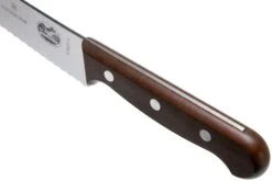 Victorinox Wood 5.2930.22G Cuchillo Para Pan/pastelería 22 Cm, Madera De Arce 11 Victorinox Wood 5.2930.22G Cuchillo Para Pan/pastelería 22 Cm, Madera De Arce -CocinaPro Ventas VT5 2930 22G 05 victorinox