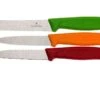 Victorinox SwissClassic Cuchillo De Verduras, Set De 3, 6.7116.32 1 Victorinox SwissClassic Cuchillo De Verduras, Set De 3, 6.7116.32 -CocinaPro Ventas VT6 7116 32 01 victorinox vt6 7116 32 01