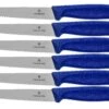 Victorinox SwissClassic 6.7232.6, Juego De Cuchillos Para Carne De 6 Piezas, Azul -CocinaPro Ventas VT6 7232 6 01 victorinox