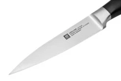 Zwilling All Star 1022777, Juego 2 De Cuchillos, Cuchillo De Chef Y Cuchillo Puntilla, Negro -CocinaPro Ventas ZW1022777 03 zwilling