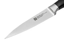 Zwilling All Star 1022778, Juego De 2 Cuchillos, Cuchillo De Chef Y Cuchillo Puntilla, Plata -CocinaPro Ventas ZW1022778 03 zwilling
