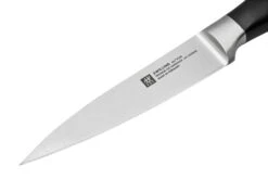 Zwilling All Star 1022780, Juego De 2 Cuchillos, Santoku Y Puntilla, Plata -CocinaPro Ventas ZW1022780 04 zwilling