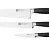 Zwilling All Star 1022781, Juego De 3 Cuchillos, Plata