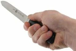 Zwilling J.A. Henckels Four Star-cuchillo De Salchichas 13 Cm 12 Zwilling J.A. Henckels Four Star-cuchillo De Salchichas 13 Cm -CocinaPro Ventas ZW31070 130 05 zwilling four star zw31070 130 05